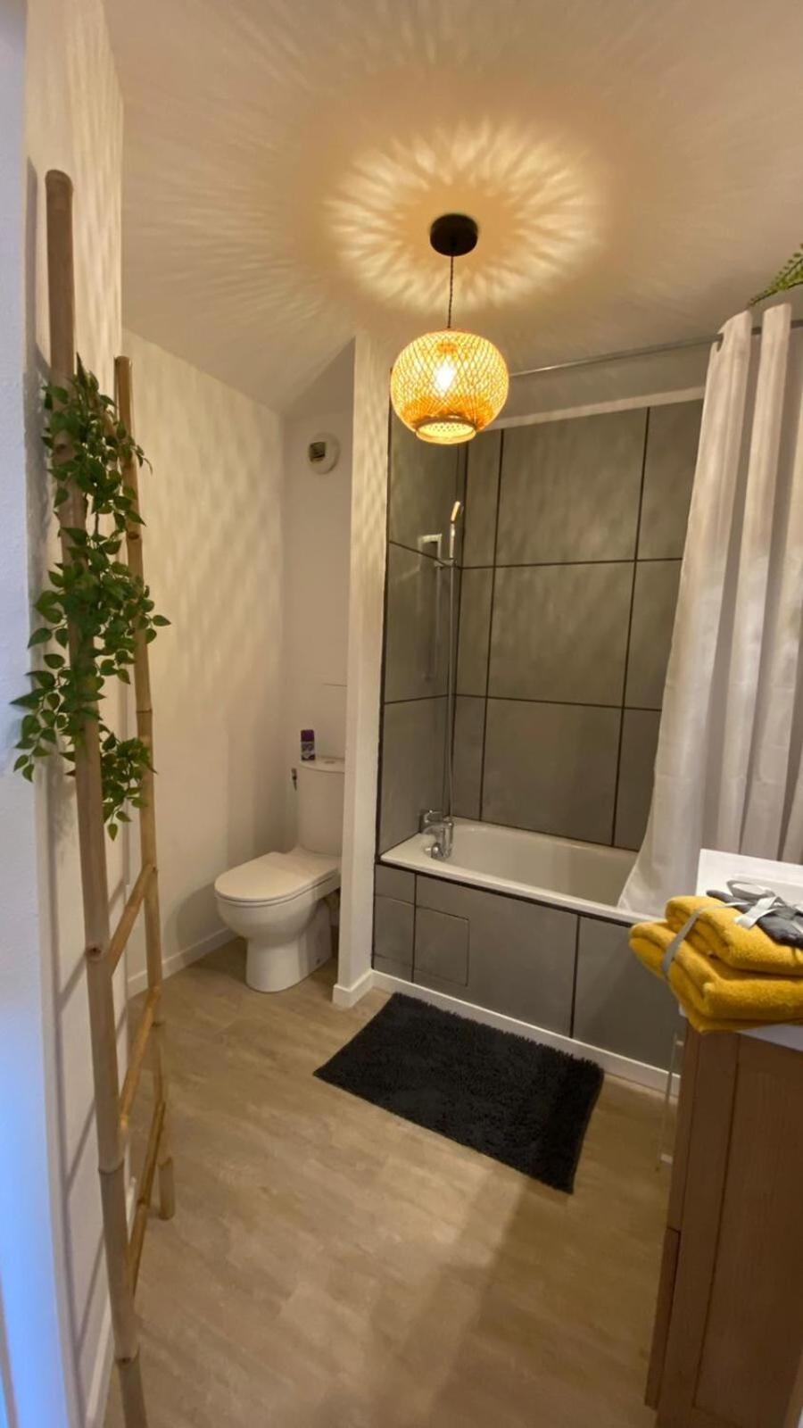 Le Sporting Land - Avec Entree Autonome, Parking Prive & Sa Piscine ! - Appartement Gaillac Buitenkant foto