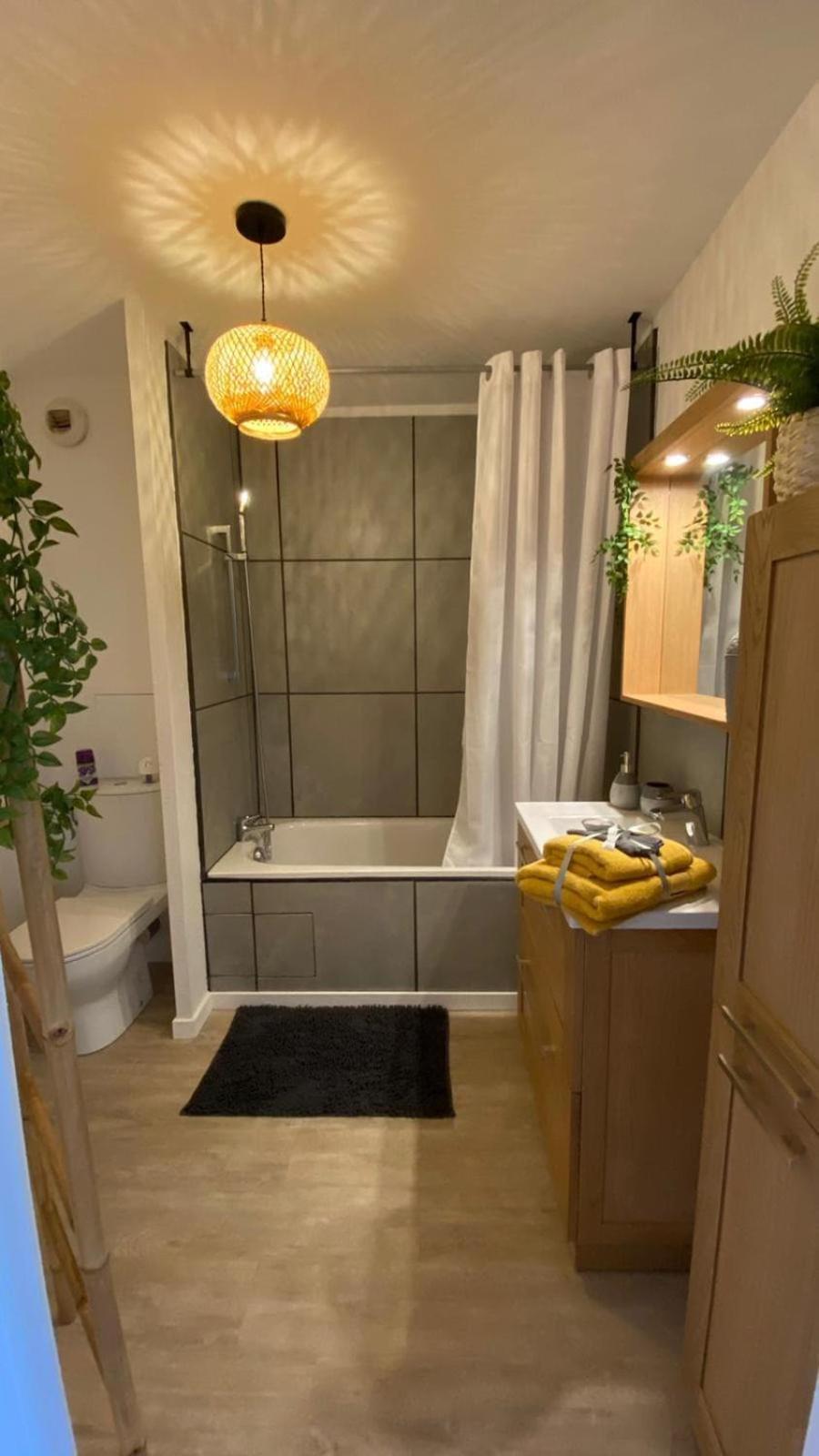 Le Sporting Land - Avec Entree Autonome, Parking Prive & Sa Piscine ! - Appartement Gaillac Buitenkant foto