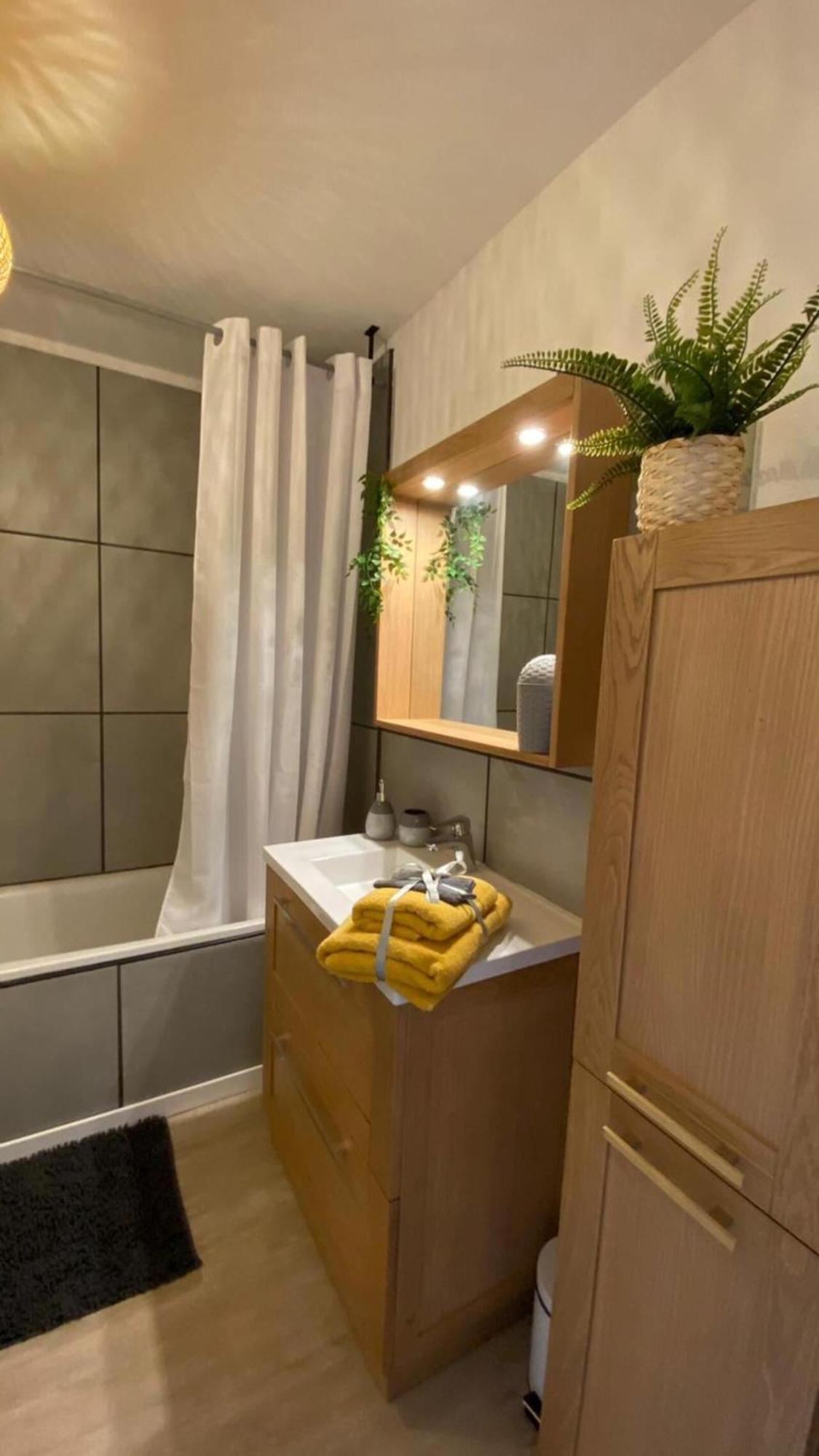 Le Sporting Land - Avec Entree Autonome, Parking Prive & Sa Piscine ! - Appartement Gaillac Buitenkant foto