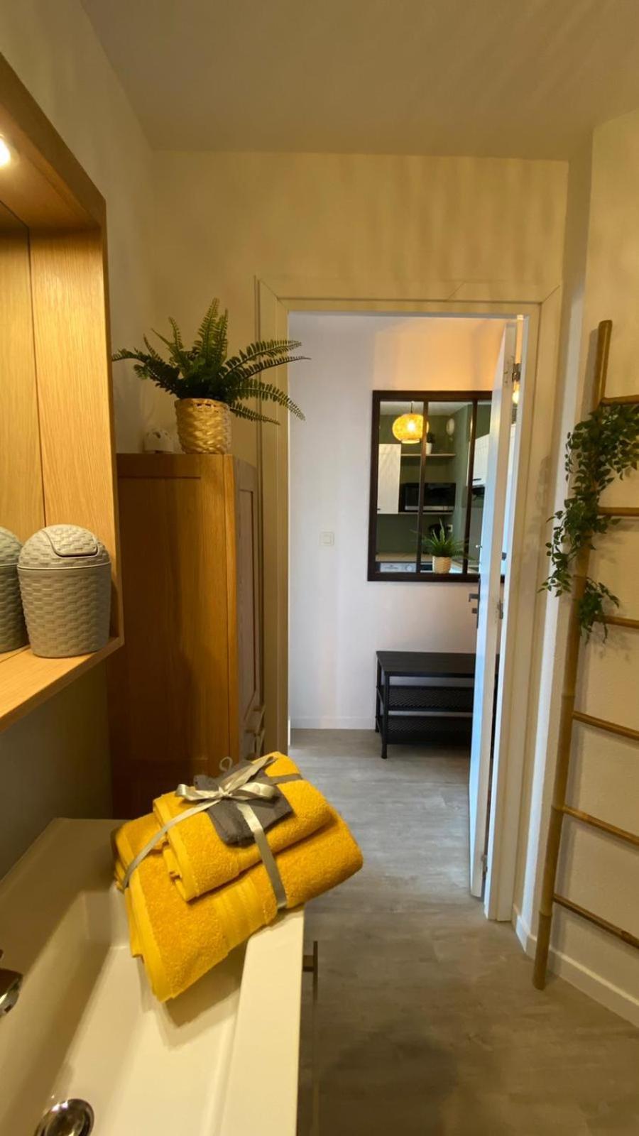 Le Sporting Land - Avec Entree Autonome, Parking Prive & Sa Piscine ! - Appartement Gaillac Buitenkant foto